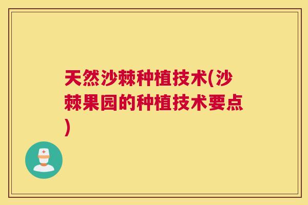 天然沙棘种植技术(沙棘果园的种植技术要点)