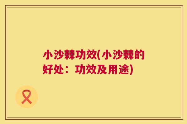 小沙棘功效(小沙棘的好处：功效及用途)