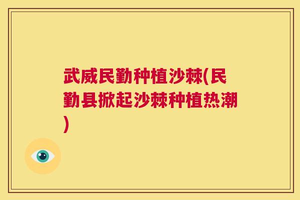 武威民勤种植沙棘(民勤县掀起沙棘种植热潮)