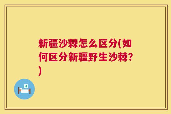 新疆沙棘怎么区分(如何区分新疆野生沙棘？)