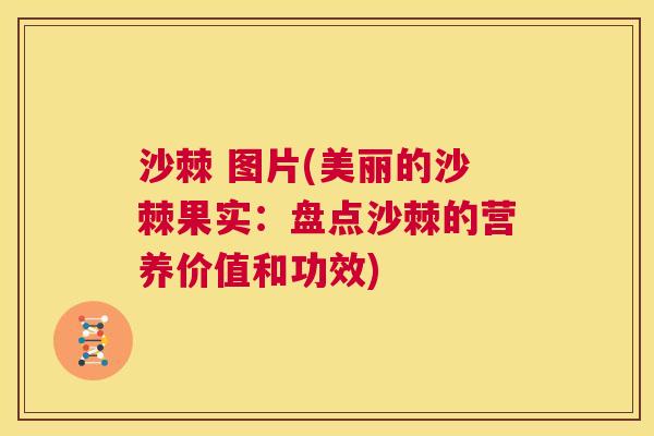 沙棘 图片(美丽的沙棘果实：盘点沙棘的营养价值和功效)