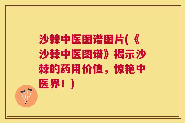 沙棘中医图谱图片(《沙棘中医图谱》揭示沙棘的药用价值，惊艳中医界！)