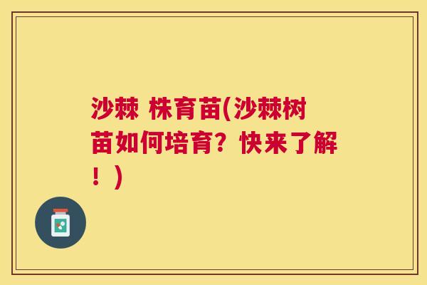 沙棘 株育苗(沙棘树苗如何培育？快来了解！)