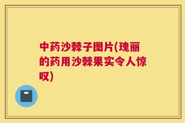 中药沙棘子图片(瑰丽的药用沙棘果实令人惊叹)