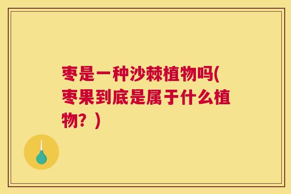 枣是一种沙棘植物吗(枣果到底是属于什么植物?)