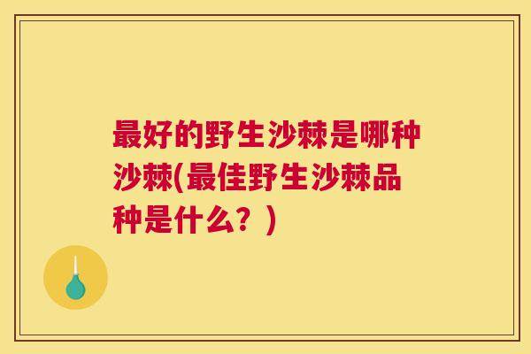 最好的野生沙棘是哪种沙棘(最佳野生沙棘品种是什么？)