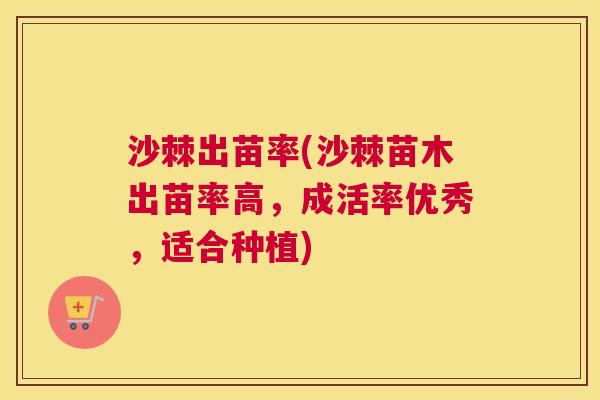 沙棘出苗率(沙棘苗木出苗率高，成活率优秀，适合种植)