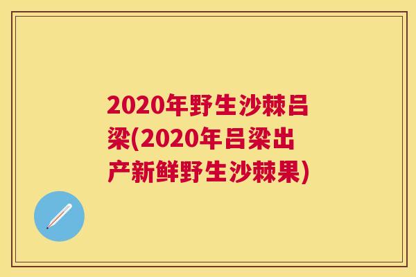 2020年野生沙棘吕梁(2020年吕梁出产新鲜野生沙棘果)