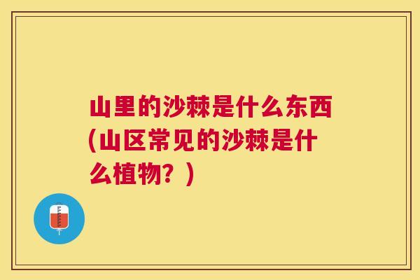 山里的沙棘是什么东西(山区常见的沙棘是什么植物？)