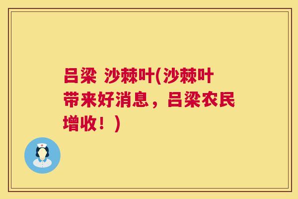 吕梁 沙棘叶(沙棘叶带来好消息，吕梁农民增收！)
