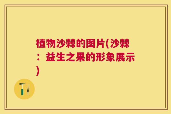 植物沙棘的图片(沙棘：益生之果的形象展示)