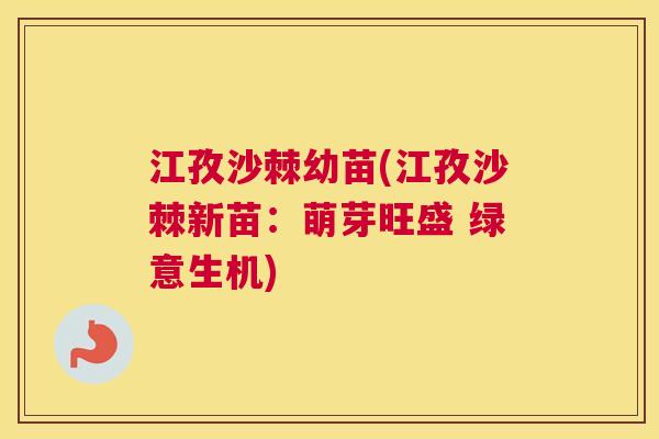 江孜沙棘幼苗(江孜沙棘新苗：萌芽旺盛 绿意生机)