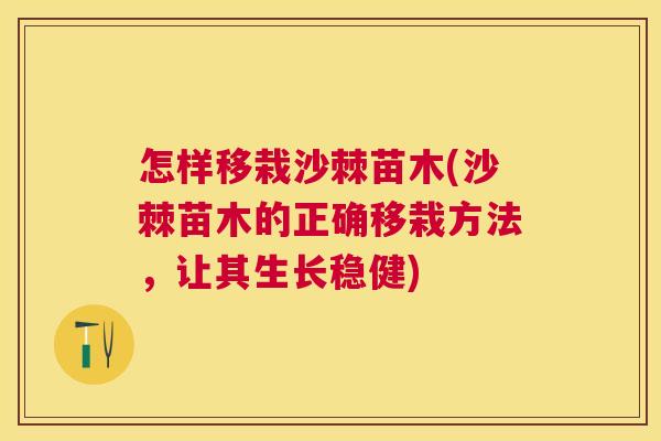 怎样移栽沙棘苗木(沙棘苗木的正确移栽方法，让其生长稳健)