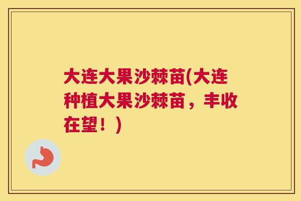 大连大果沙棘苗(大连种植大果沙棘苗,丰收在望!) 大连大果沙棘苗(大连种植大果沙棘苗,丰收在望!)