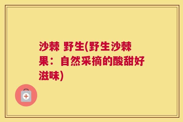 沙棘 野生(野生沙棘果：自然采摘的酸甜好滋味)