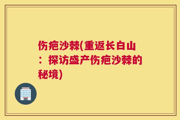 伤疤沙棘(重返长白山：探访盛产伤疤沙棘的秘境)