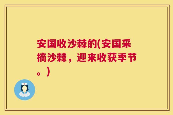 安国收沙棘的(安国采摘沙棘，迎来收获季节。)