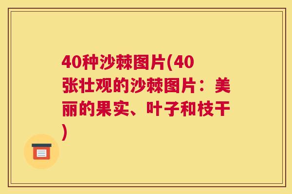 40种沙棘图片(40张壮观的沙棘图片：美丽的果实、叶子和枝干)