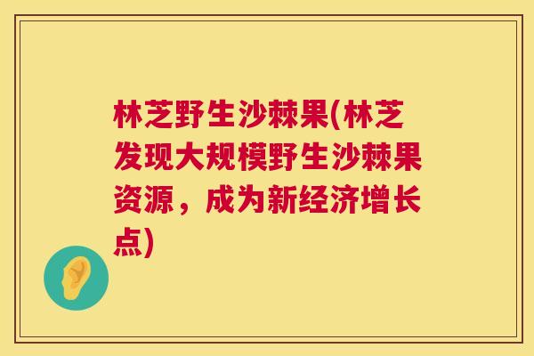 林芝野生沙棘果(林芝发现大规模野生沙棘果资源，成为新经济增长点)