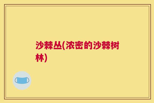 沙棘丛(浓密的沙棘树林)