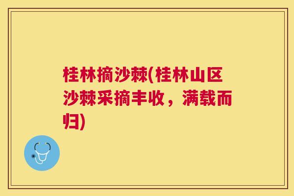 桂林摘沙棘(桂林山区沙棘采摘丰收，满载而归)
