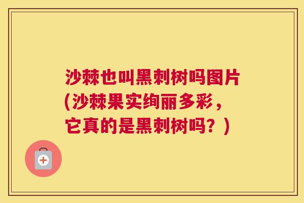 沙棘也叫黑刺树吗图片(沙棘果实绚丽多彩,它真的是黑刺树吗?)