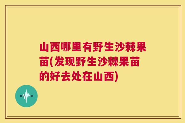山西哪里有野生沙棘果苗(发现野生沙棘果苗的好去处在山西)
