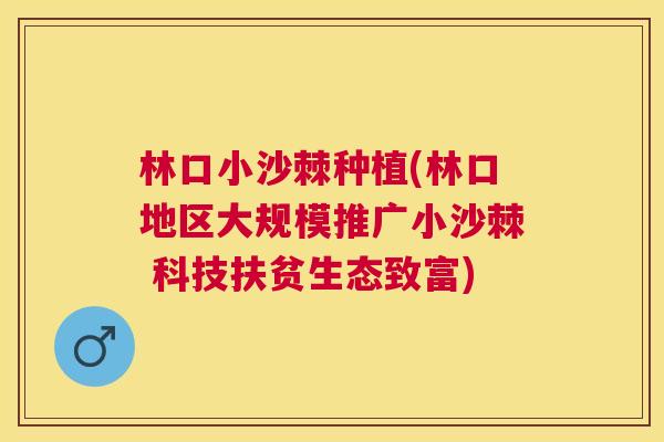 林口小沙棘种植(林口地区大规模推广小沙棘 科技扶贫生态致富)