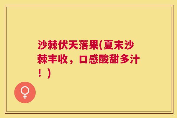沙棘伏天落果(夏末沙棘丰收,口感酸甜多汁!)