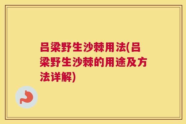 吕梁野生沙棘用法(吕梁野生沙棘的用途及方法详解)