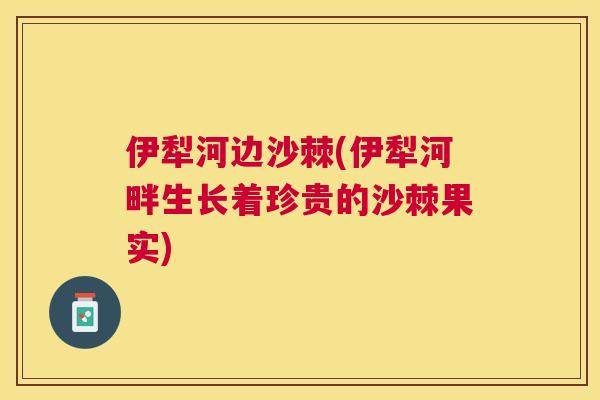 伊犁河边沙棘(伊犁河畔生长着珍贵的沙棘果实)