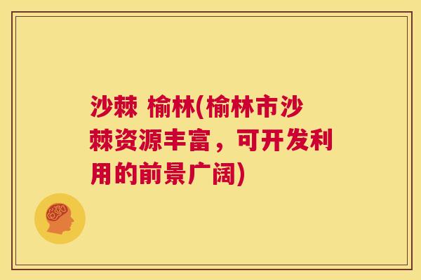沙棘 榆林(榆林市沙棘资源丰富，可开发利用的前景广阔)