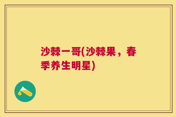 沙棘一哥(沙棘果，春季养生明星)