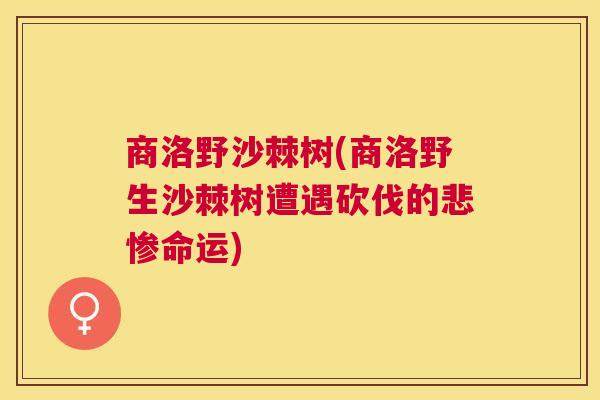商洛野沙棘树(商洛野生沙棘树遭遇砍伐的悲惨命运)