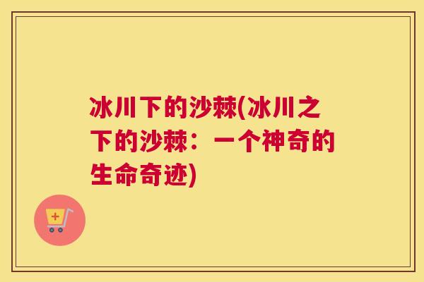 冰川下的沙棘(冰川之下的沙棘：一个神奇的生命奇迹)