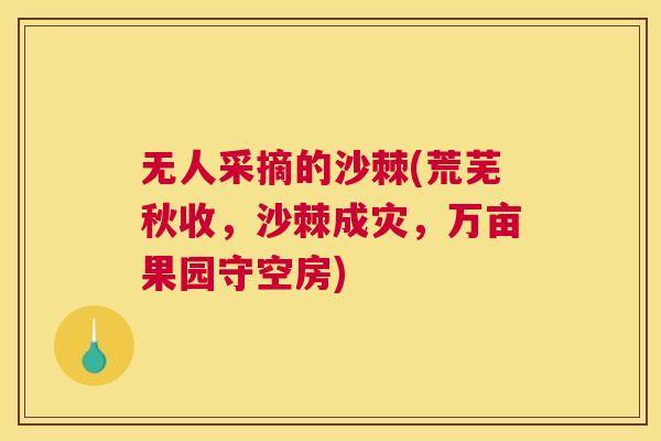 无人采摘的沙棘(荒芜秋收，沙棘成灾，万亩果园守空房)