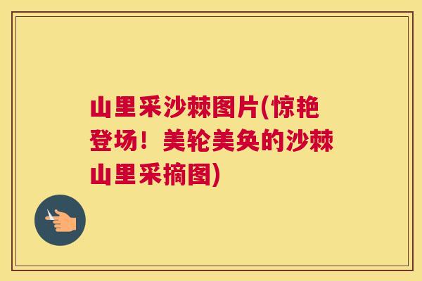 山里采沙棘图片(惊艳登场！美轮美奂的沙棘山里采摘图)