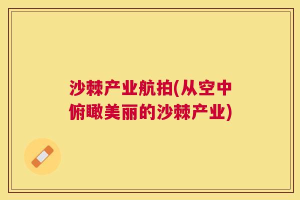 沙棘产业航拍(从空中俯瞰美丽的沙棘产业)