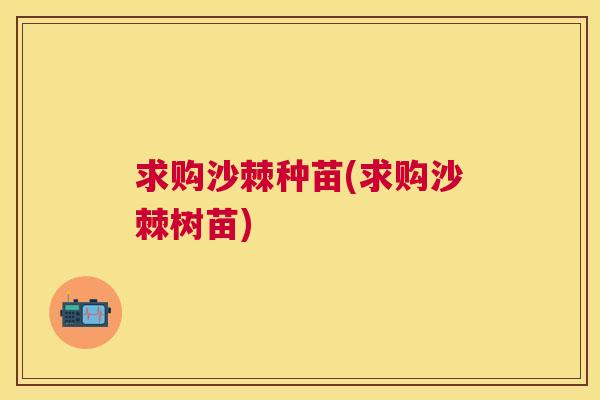 求购沙棘种苗(求购沙棘树苗)
