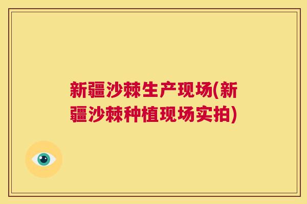 新疆沙棘生产现场(新疆沙棘种植现场实拍)