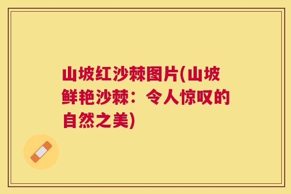 山坡红沙棘图片(山坡鲜艳沙棘：令人惊叹的自然之美)