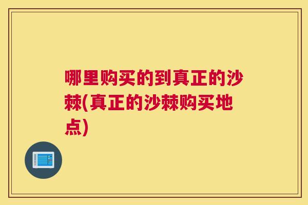 哪里购买的到真正的沙棘(真正的沙棘购买地点)