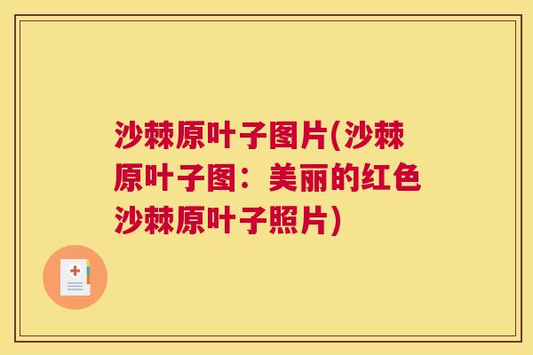 沙棘原叶子图片(沙棘原叶子图：美丽的红色沙棘原叶子照片)