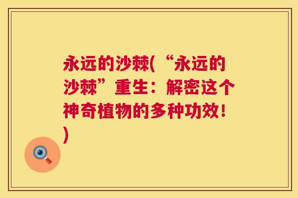 永远的沙棘(“永远的沙棘”重生：解密这个神奇植物的多种功效！)
