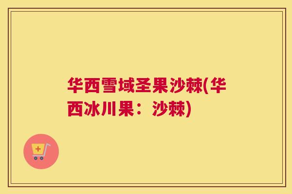 华西雪域圣果沙棘(华西冰川果：沙棘)