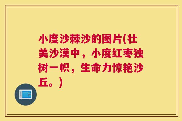 小度沙棘沙的图片(壮美沙漠中，小度红枣独树一帜，生命力惊艳沙丘。)