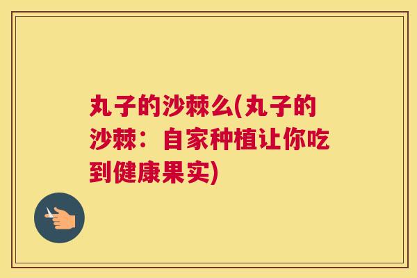 丸子的沙棘么(丸子的沙棘：自家种植让你吃到健康果实)