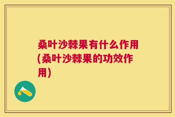 桑叶沙棘果有什么作用(桑叶沙棘果的功效作用)