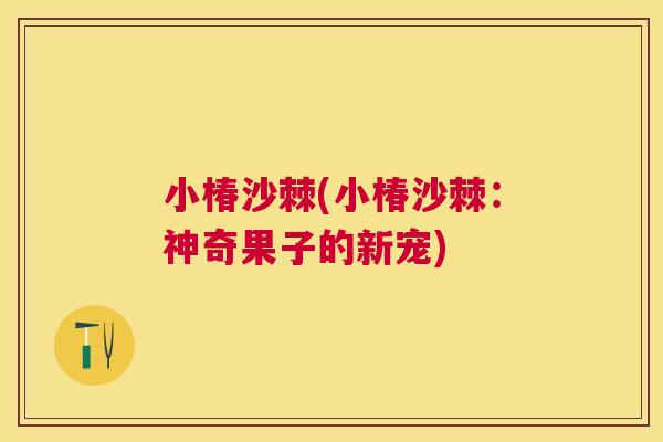 小椿沙棘(小椿沙棘：神奇果子的新宠)