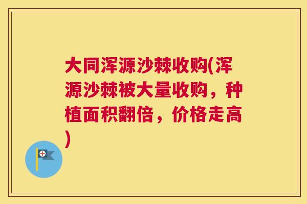 大同浑源沙棘收购(浑源沙棘被大量收购,种植面积翻倍,价格走高)
